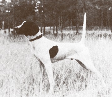 HOF CH FIDDLER