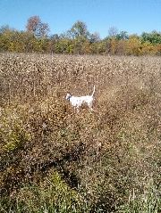 2013 hunting season